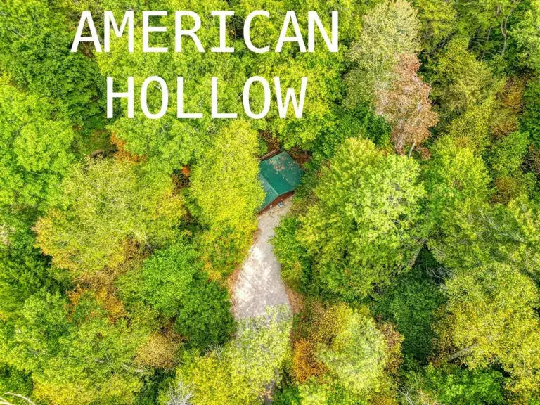 American Hollow