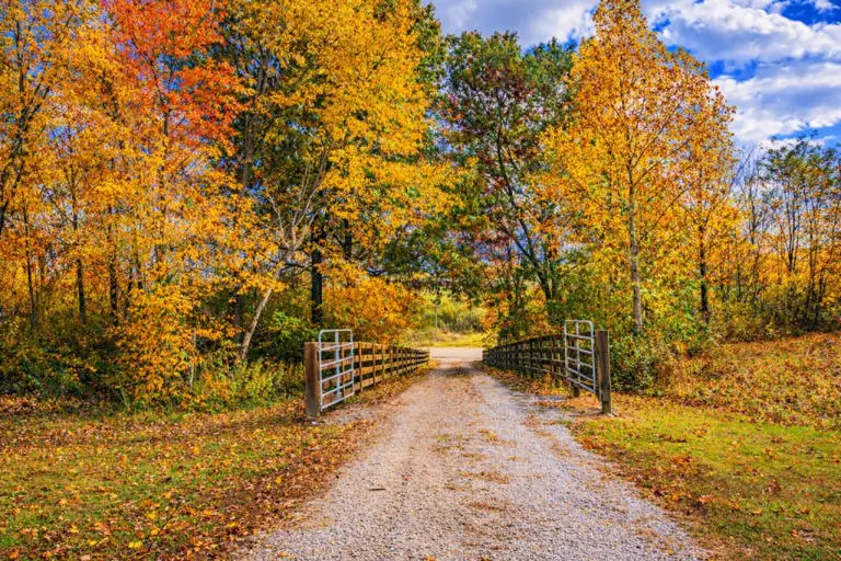 Pumpkin Ridge Resort