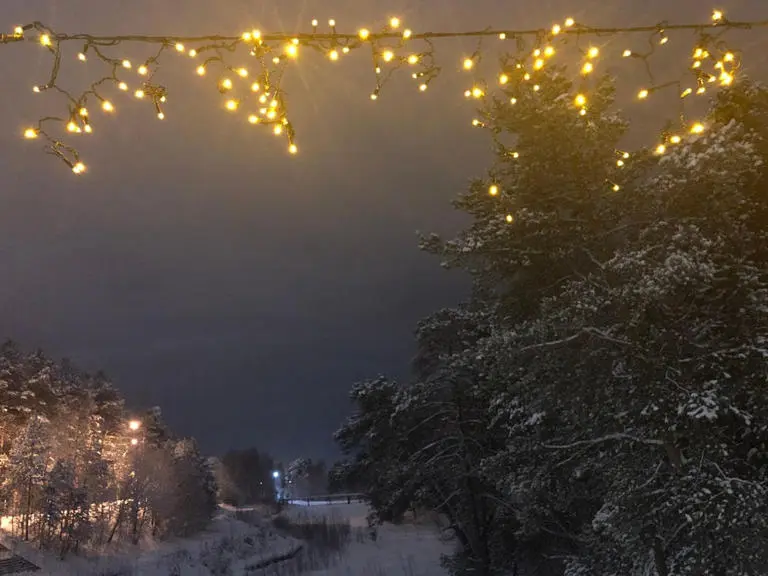 Shutterstock1275374605