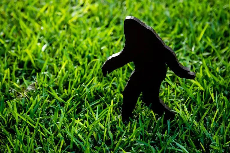 Shutterstock1882967806 Shutterstock1882967806