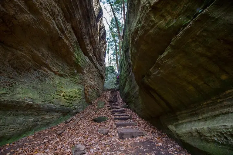 Shutterstock2082994000