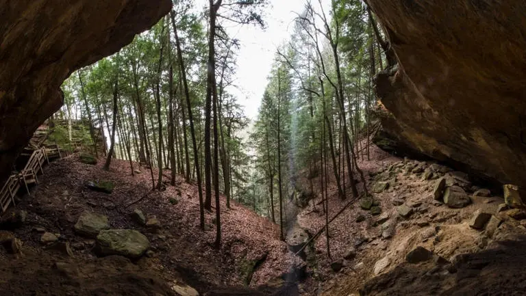 Shutterstock2441739609 Shutterstock2441739609